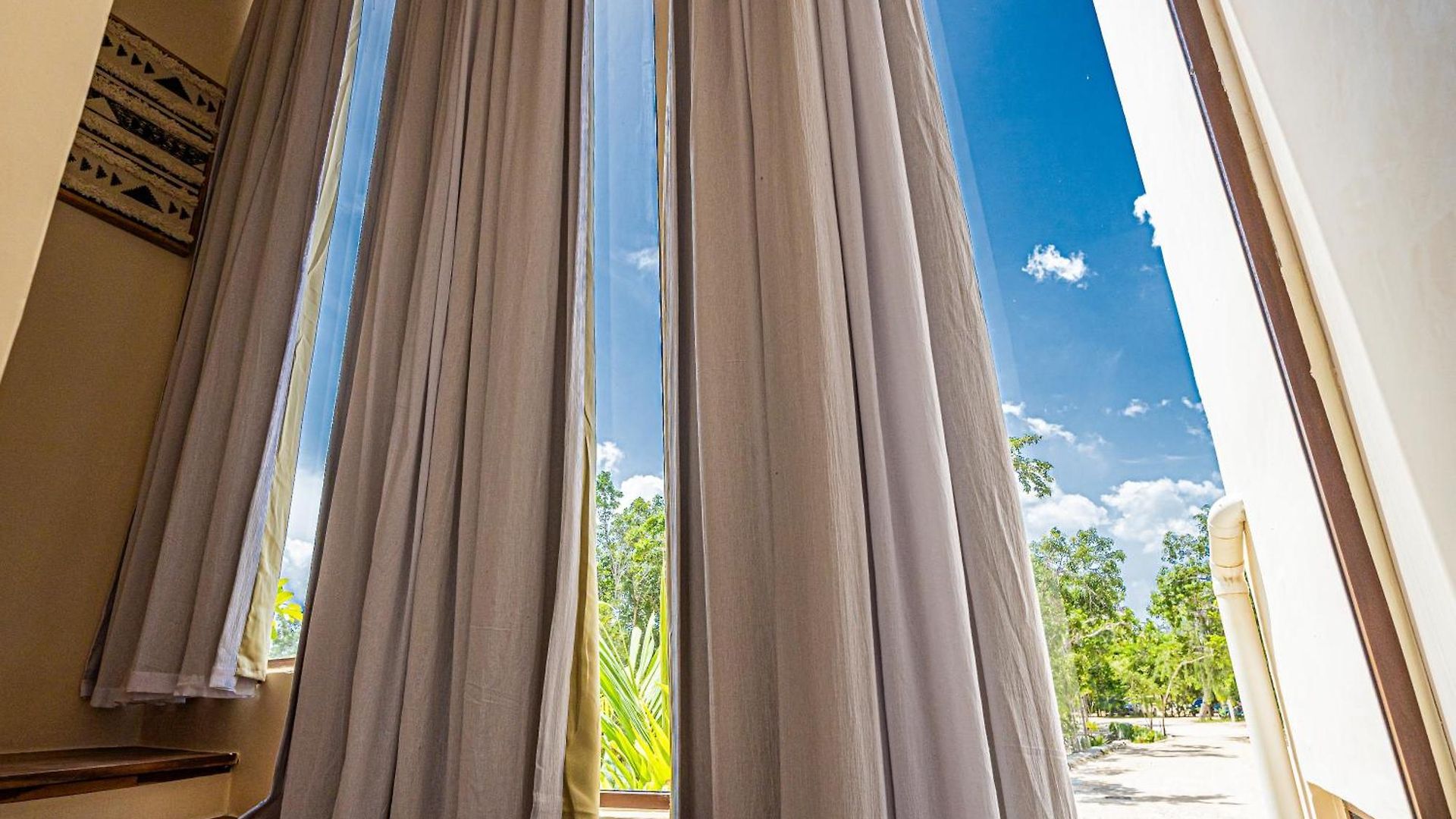 Jungle - Chakra Artbat Tulum