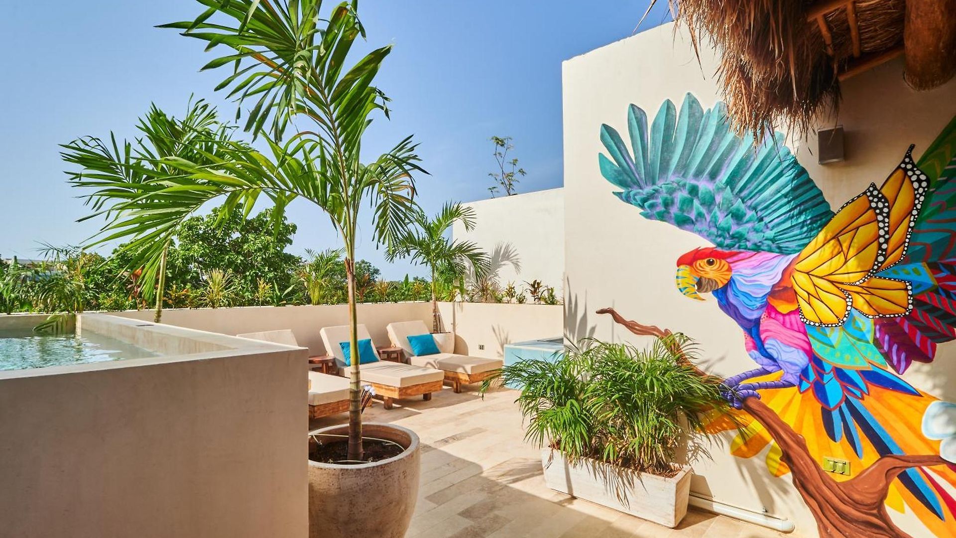 Spacious & Comfy Penthouse Oasis With Plunge Pool