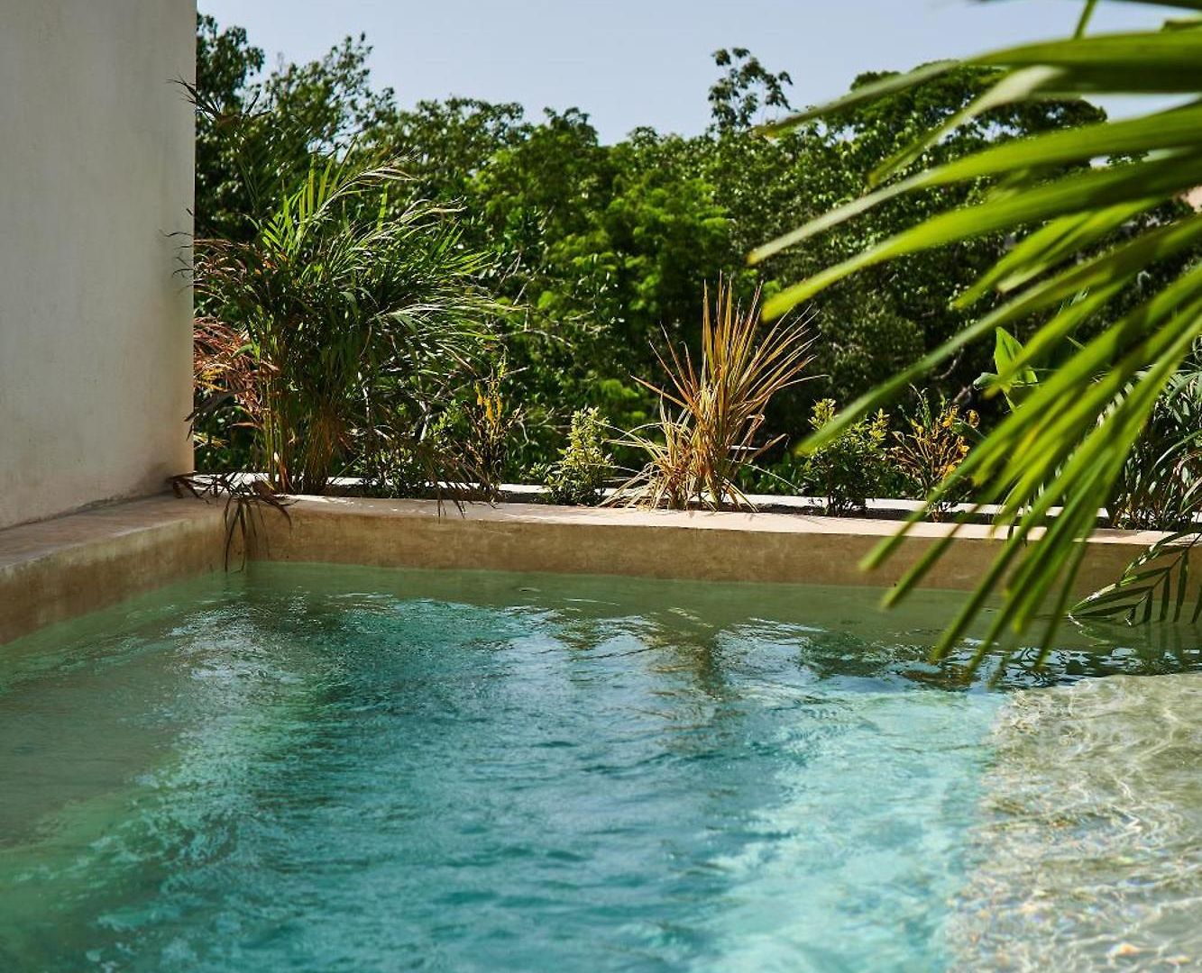 Apartment Spacious & Comfy Penthouse Oasis With Plunge Pool