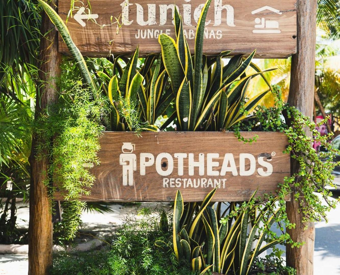 Tunich Jungle Guest house