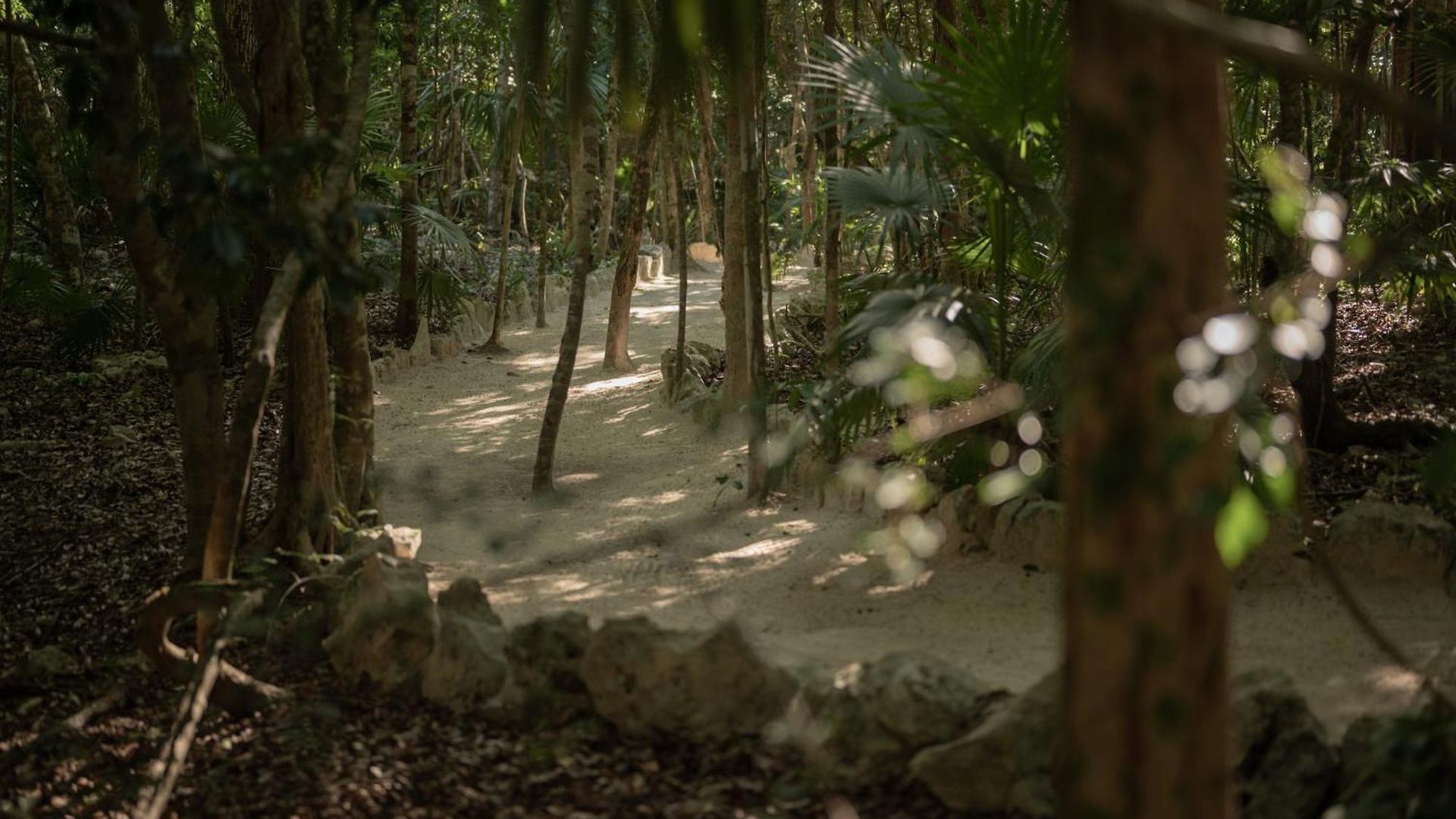 Naum - Secluded With Private Cenote Villa Tulum