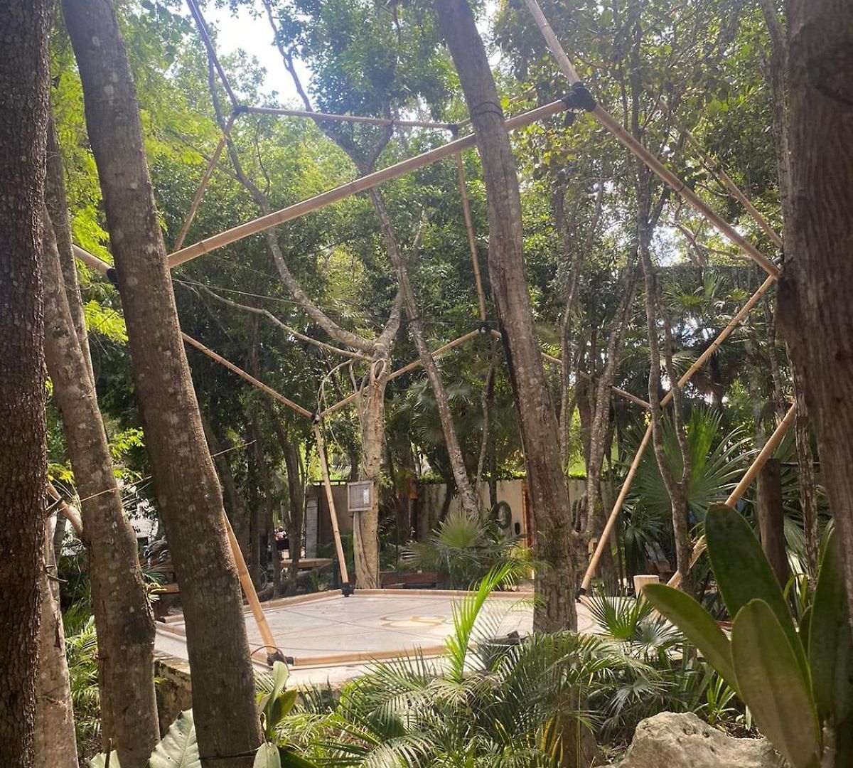 Bufo Alvarius Hotel Tulum