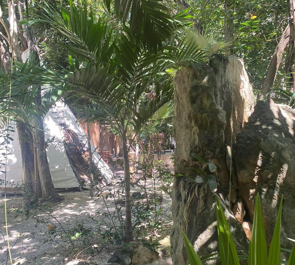 Bufo Alvarius Hotel Tulum
