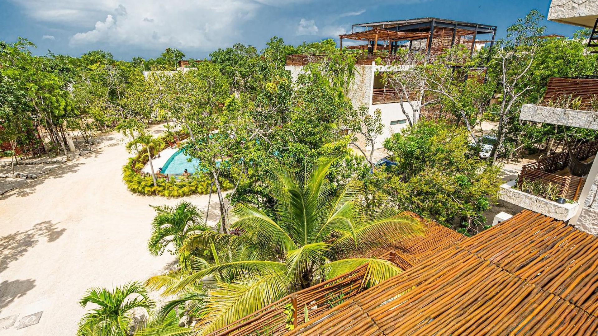 Jungle - Chakra Artbat * Tulum