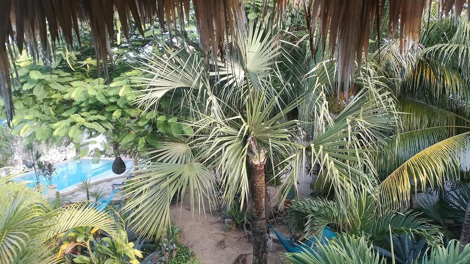 Zamunda Garden View Inn Tulum