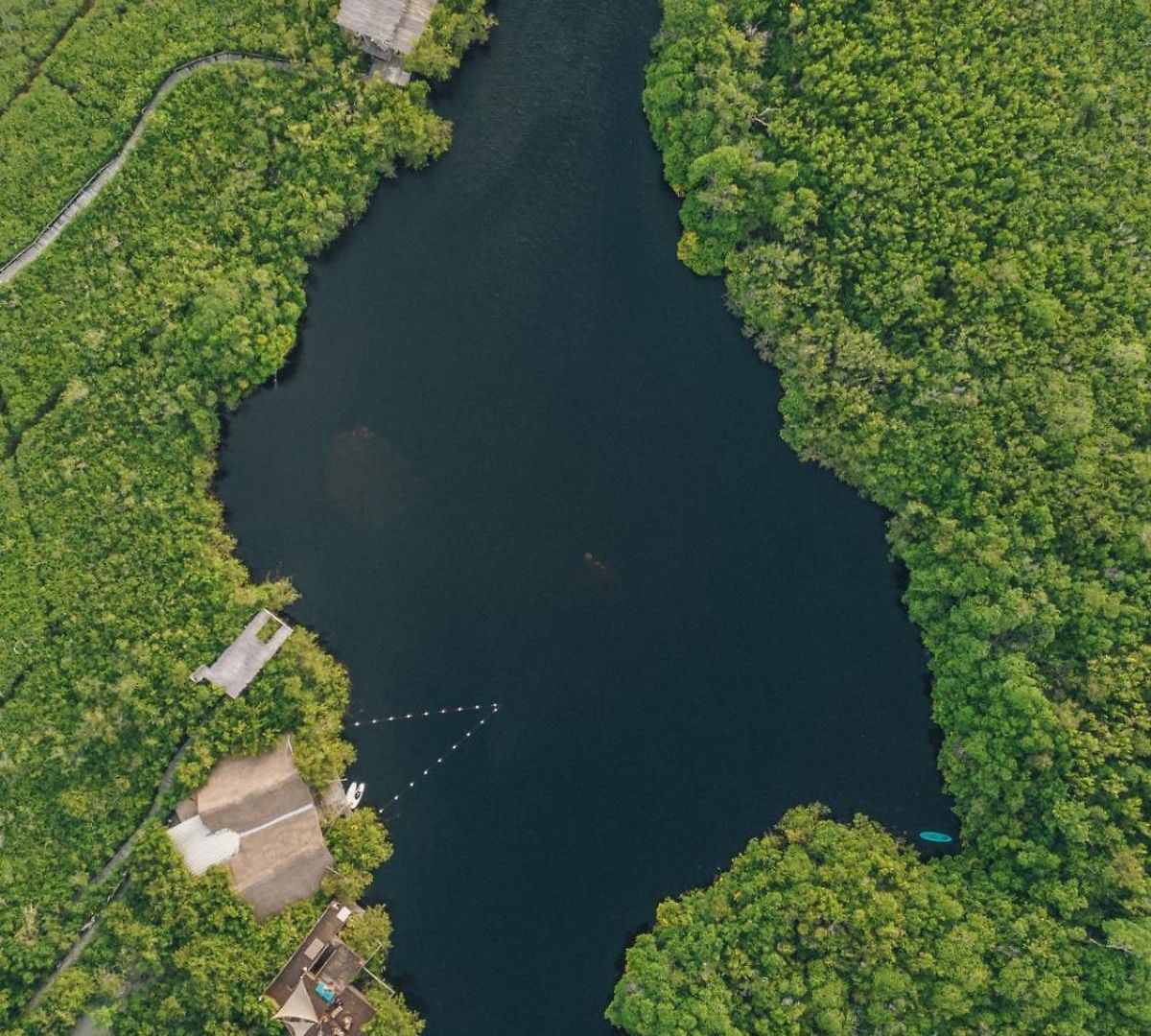Uman Glamping & Cenote *