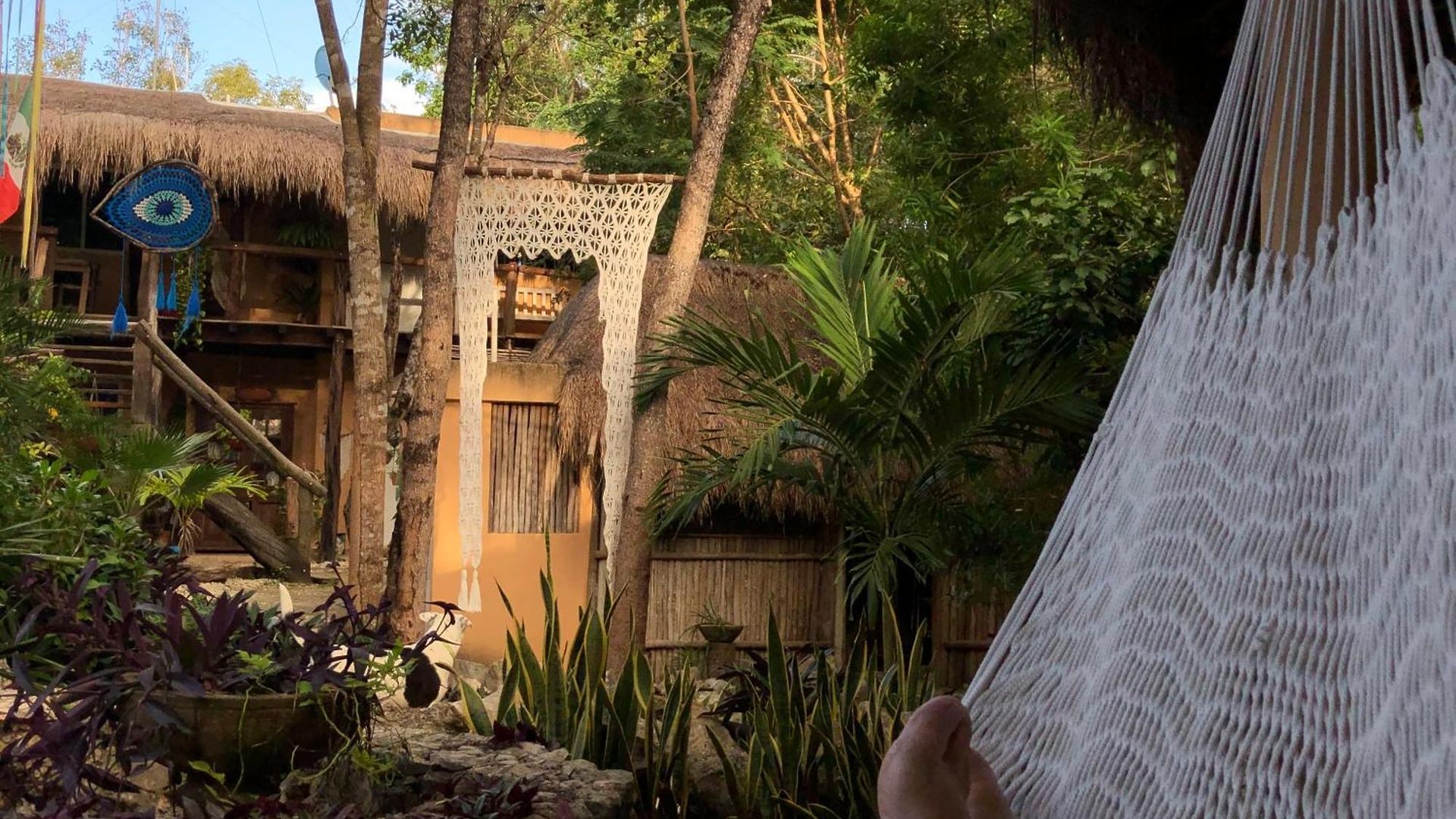 Bed and breakfast Casa Tzalam Selva Tulum