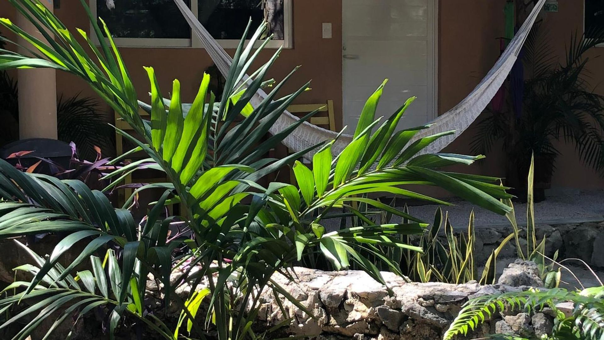 Bed and breakfast Casa Tzalam Selva 4*