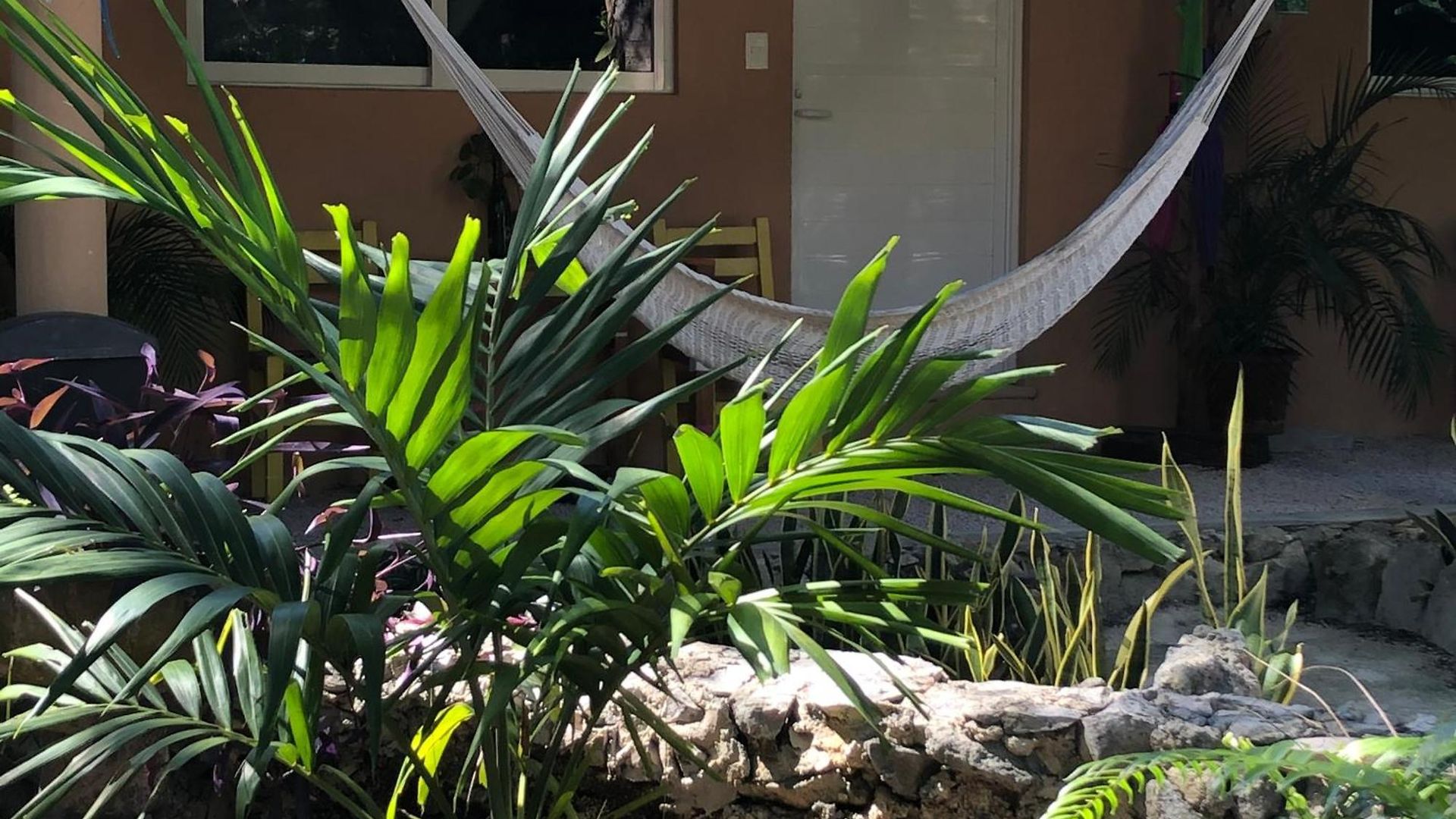 Bed and breakfast Casa Tzalam Selva Tulum