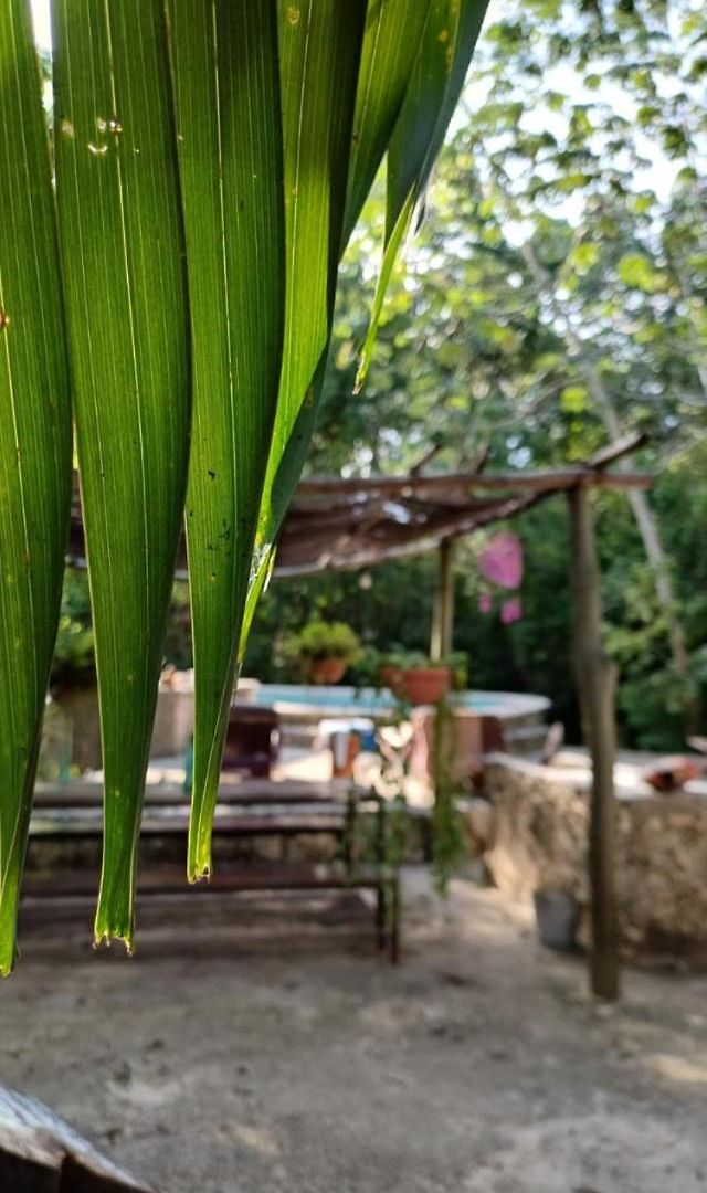 Casa Tzalam Selva 4* Tulum