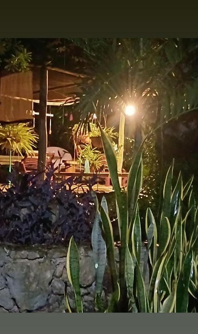 Casa Tzalam Selva Bed and breakfast