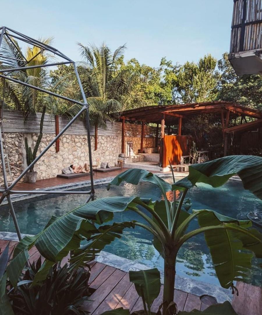 Hotel Botanica