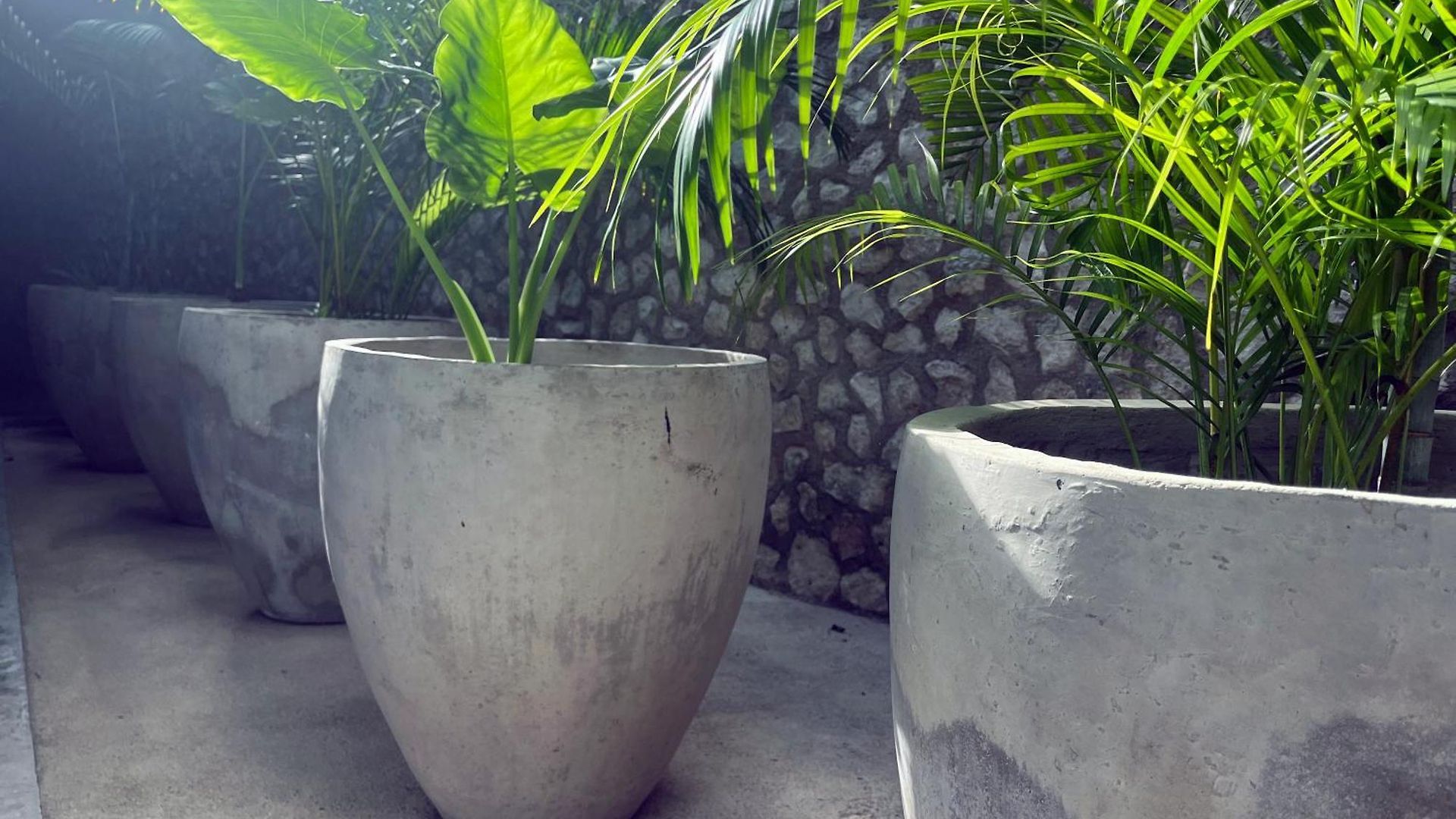 Hotel Bau Tulum