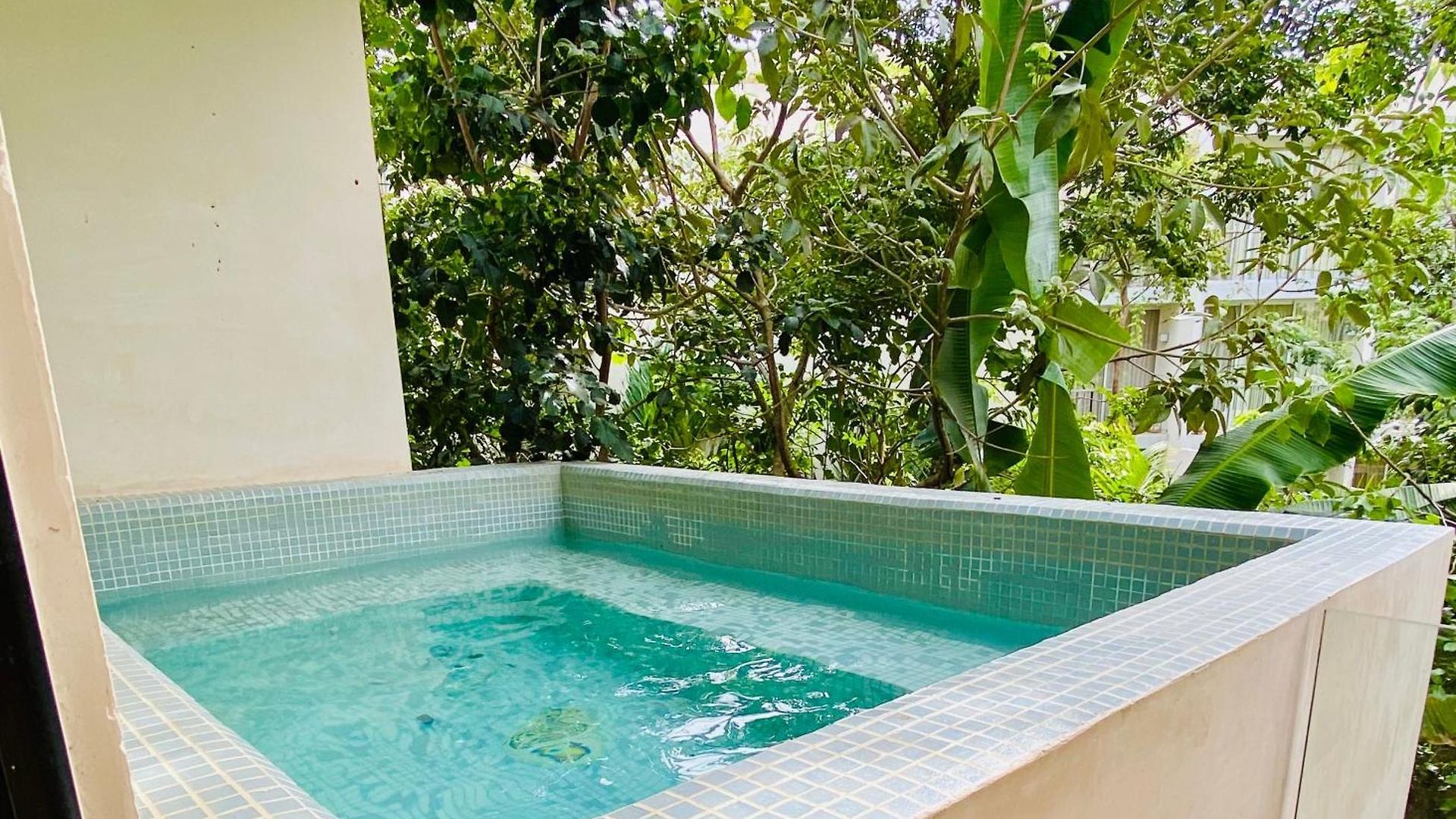 Cacao Departamentos Apartamento *