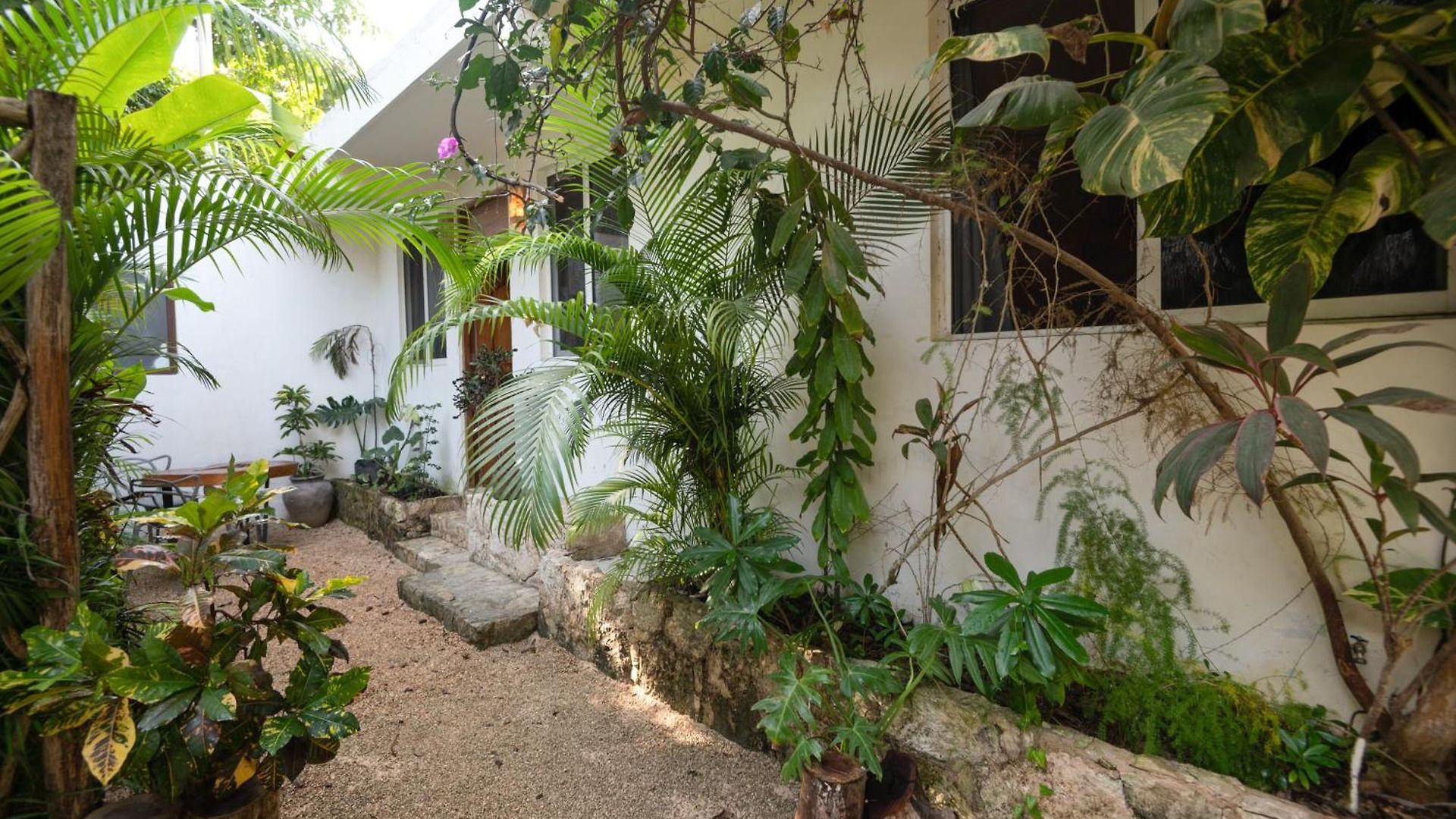 Apartamento Huaya Camp Tulum
