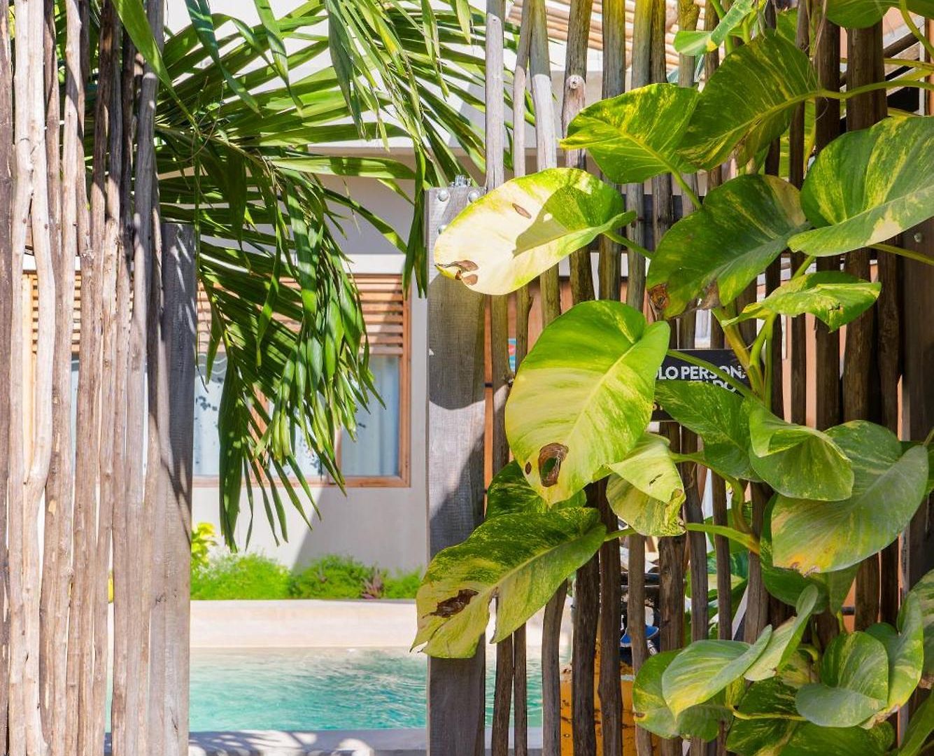 Dona Lucha Hostel Tulum