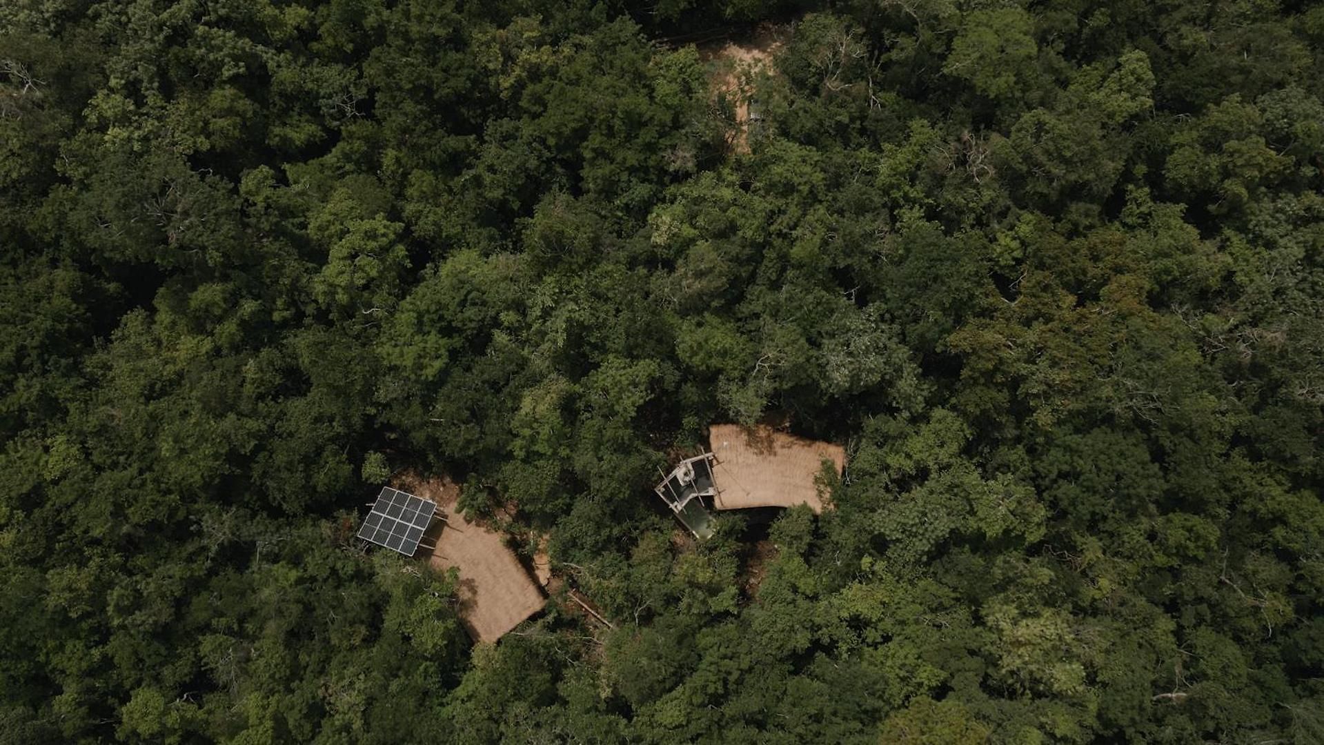 Villa Ojo De árbol, Boutique In The Real Jungle