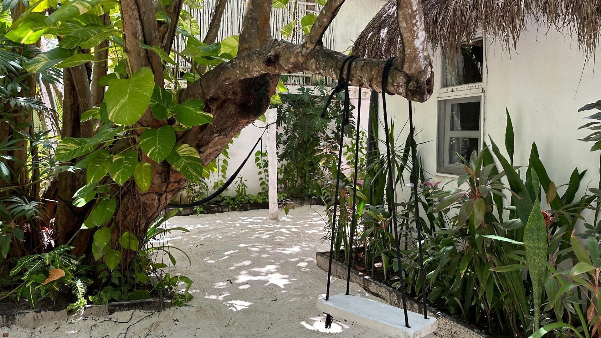Hotel Coco