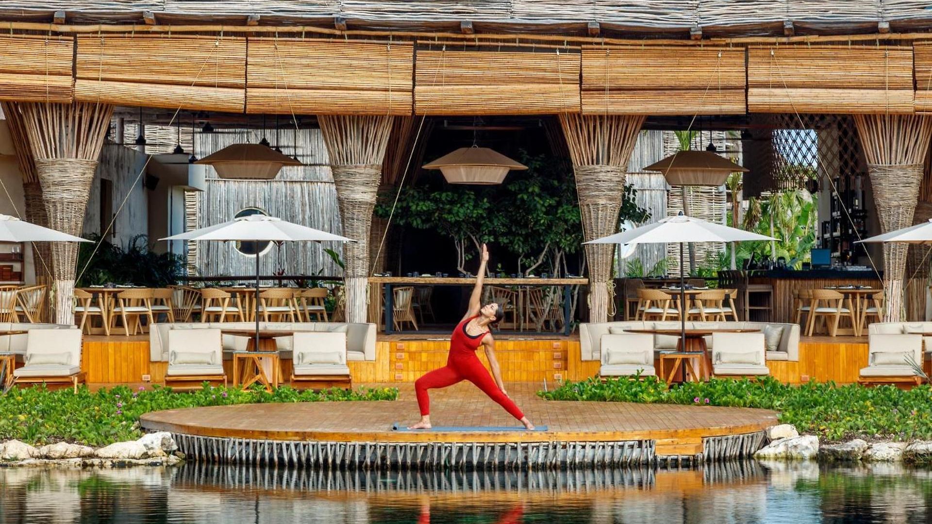 Shibari - Restaurant & Cenote Club