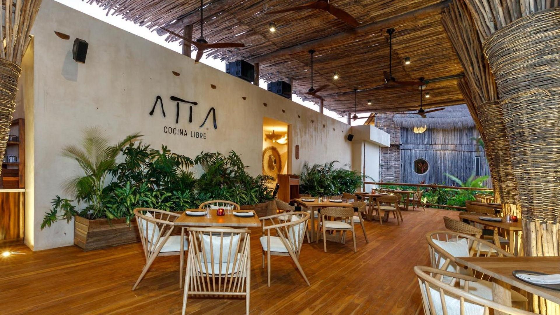 Hotel Shibari - Restaurant & Cenote Club