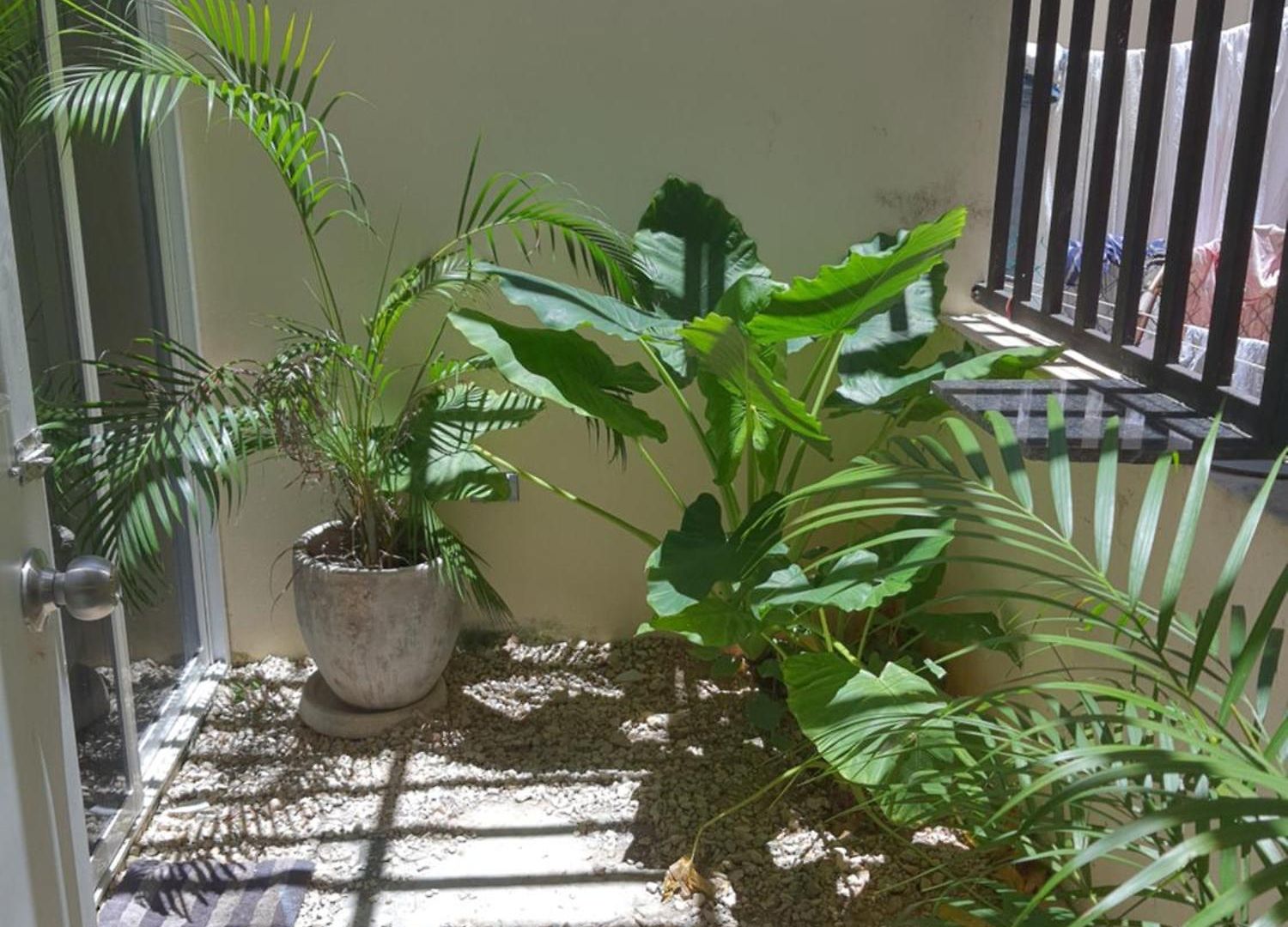 Casa Girasol