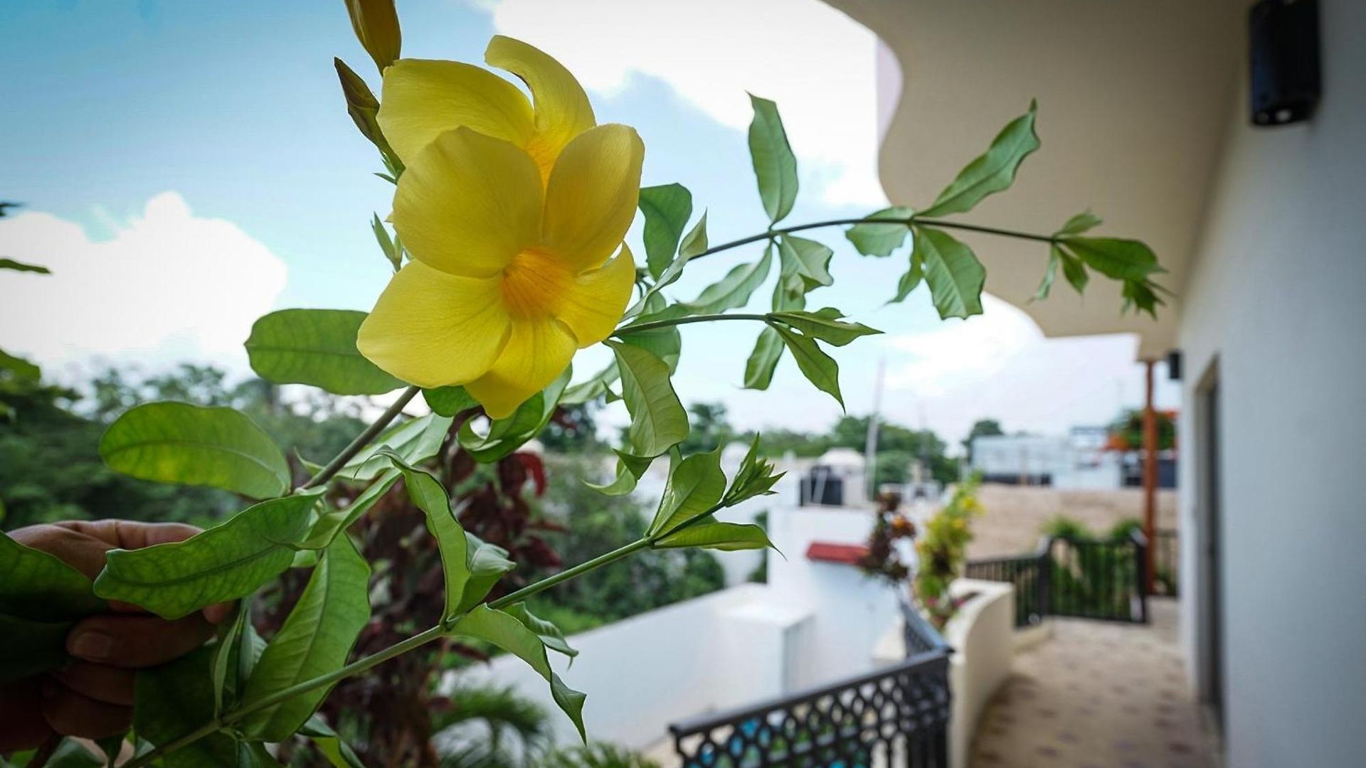 Stella Maris Hotel 4*