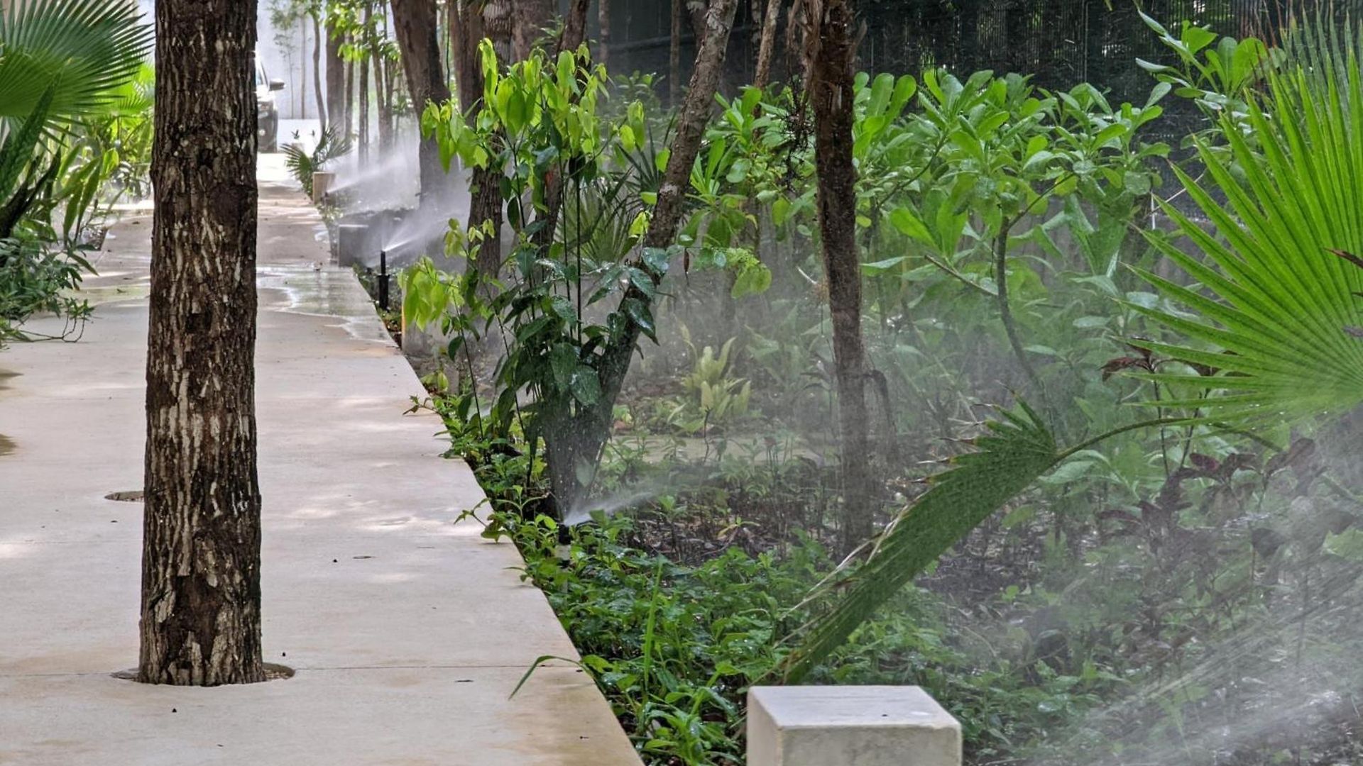 Tao - Fantastic In Jungle's Heart - Amenities By Yeah Apartamento