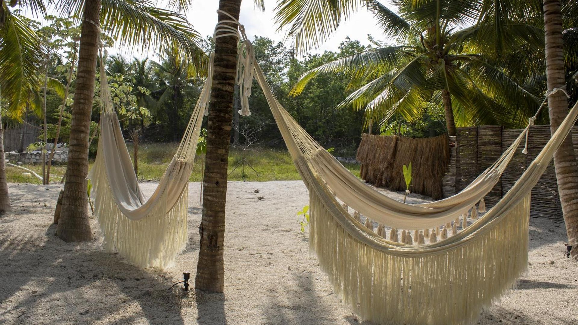 Zenote Sanctuary (adults Only) Hotel 5*