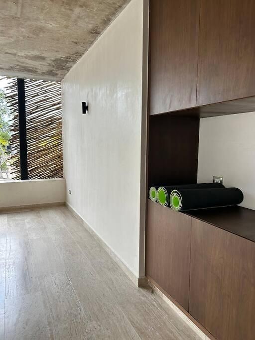 New Luxury Ph With Private Terrace & Plunge Pool Apartment