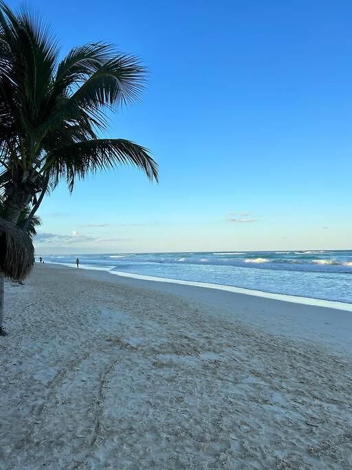 New Luxury Ph With Private Terrace & Plunge Pool * Tulum