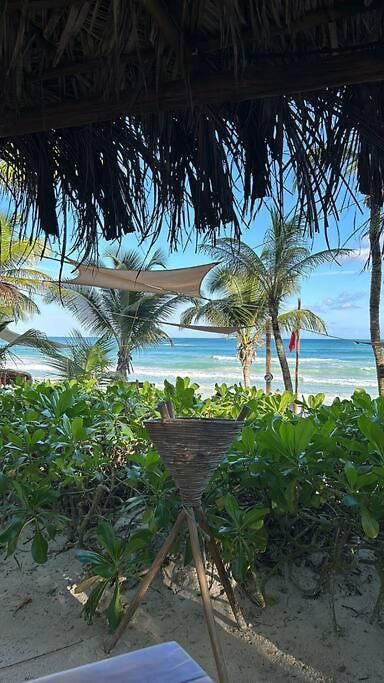 New Luxury Ph With Private Terrace & Plunge Pool Apartment *