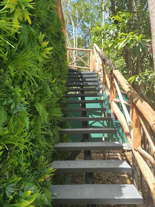 Jungle Treehouse