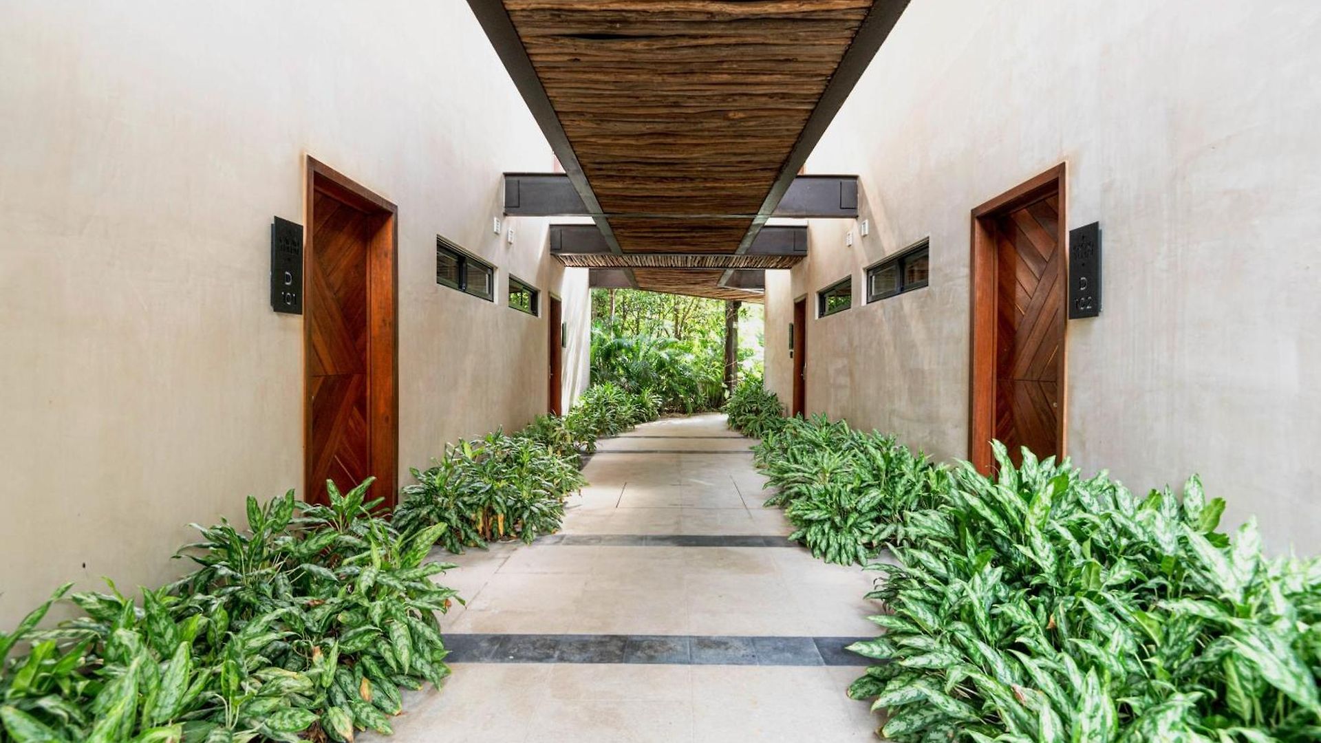 Cacao - With Exterior Plunge Pool Washer & Dryer