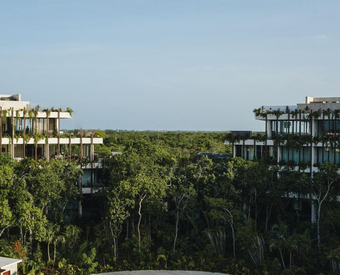 Luxury Loft With Pools, Gym, Rooftop And Panoramic Jungle Views *
