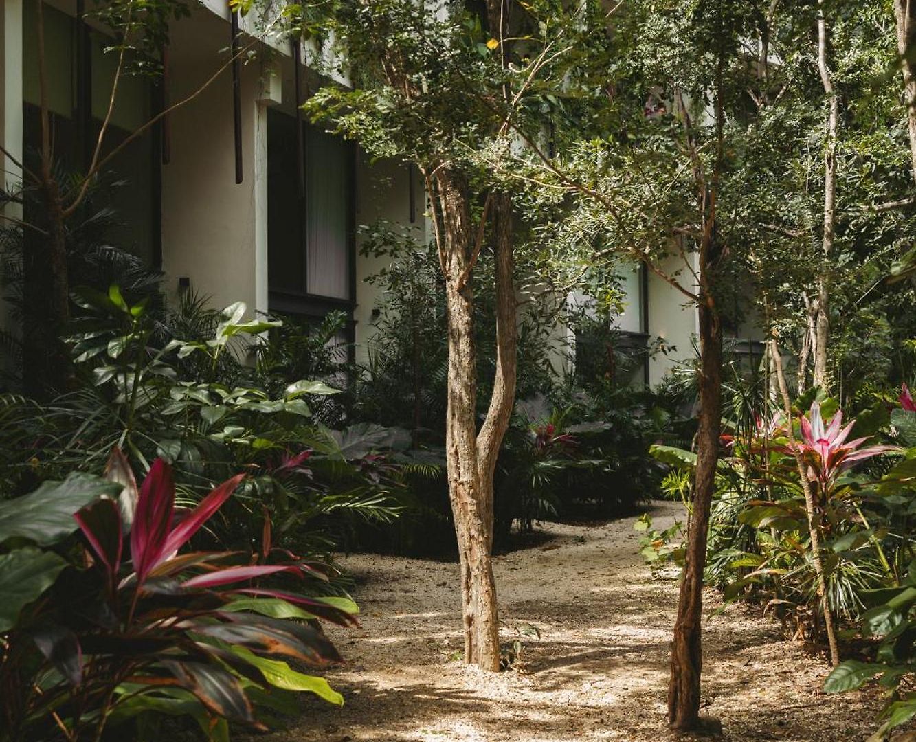 Luxury Loft With Pools, Gym, Rooftop And Panoramic Jungle Views