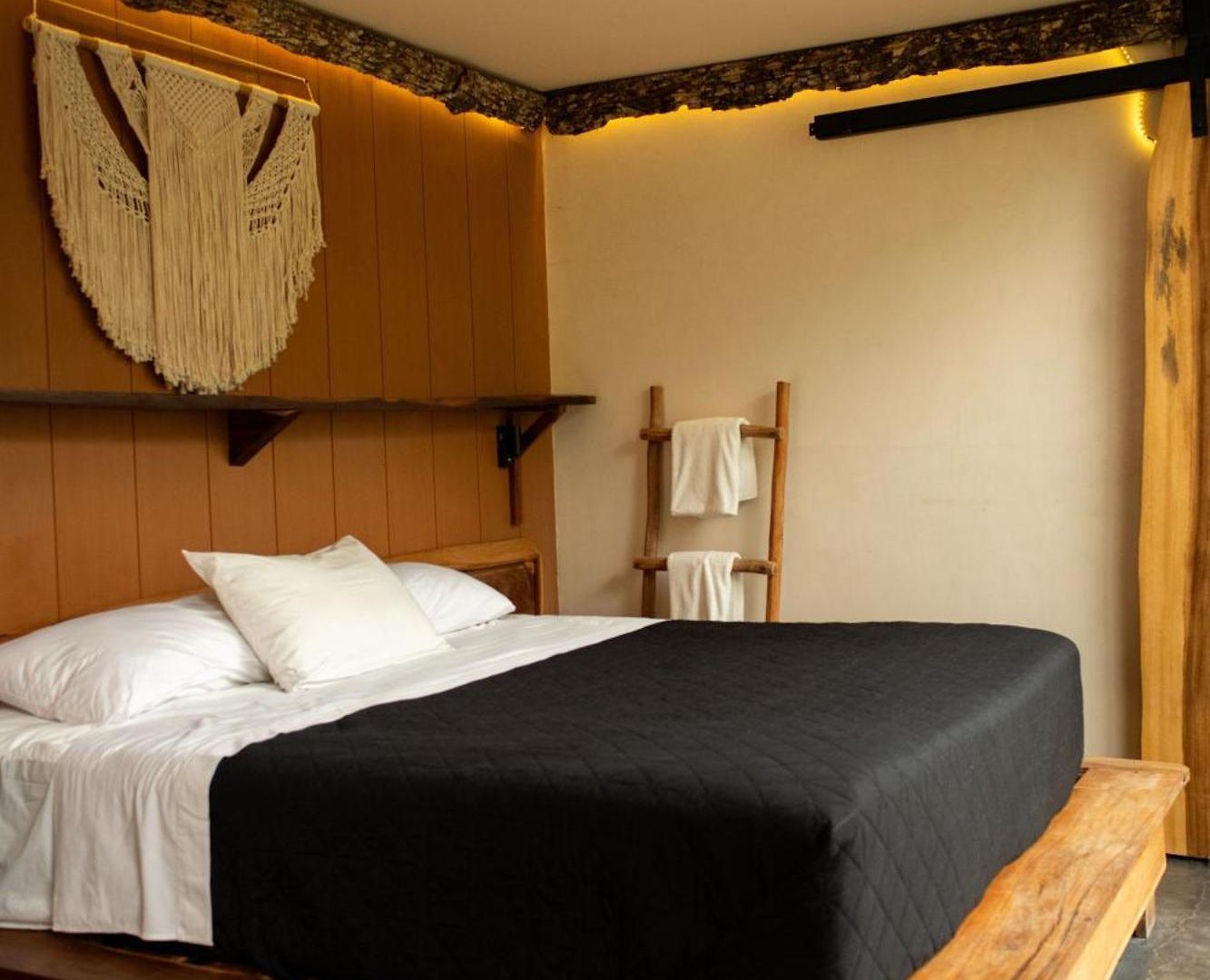 Hotel Bufo Alvarius