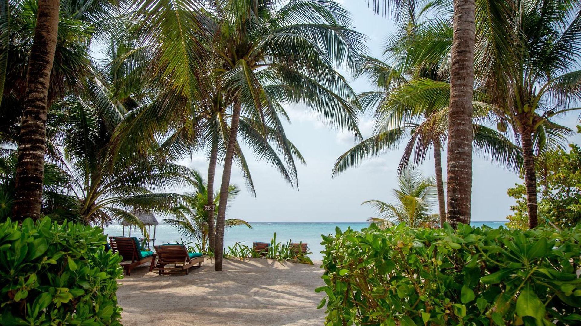 Bed & Breakfast Casa Colibri Tankah Tulum