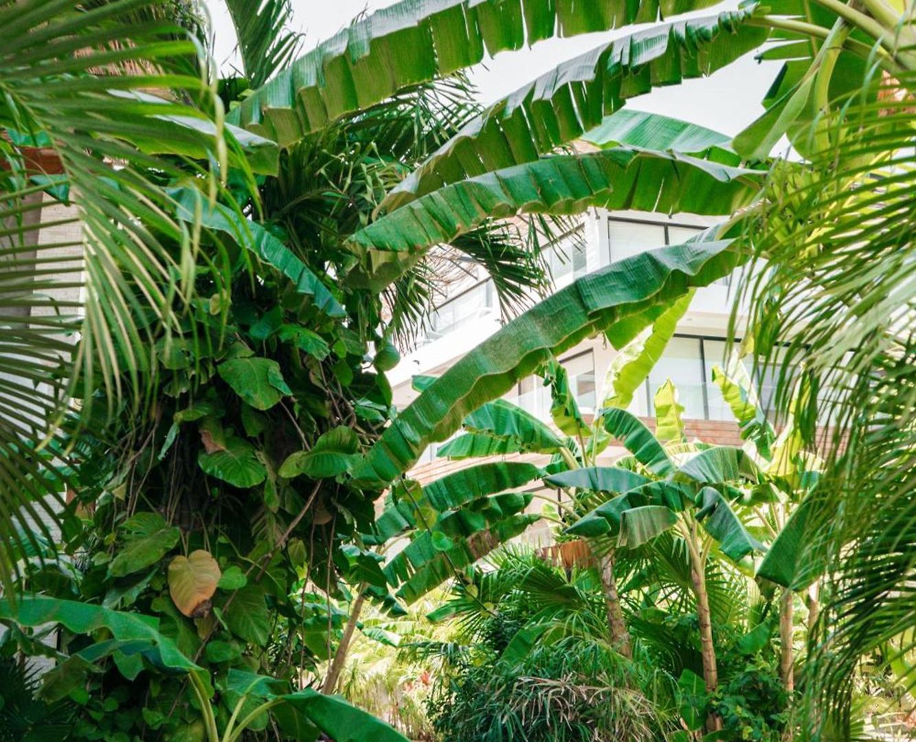 Kinah Retreat - Exclusive Boho Tropical Escape * Tulum