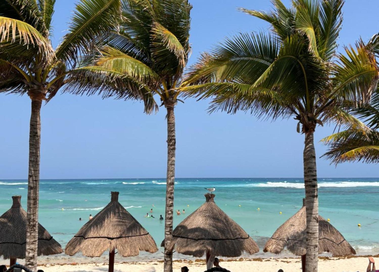 Golf & Haven Tulum