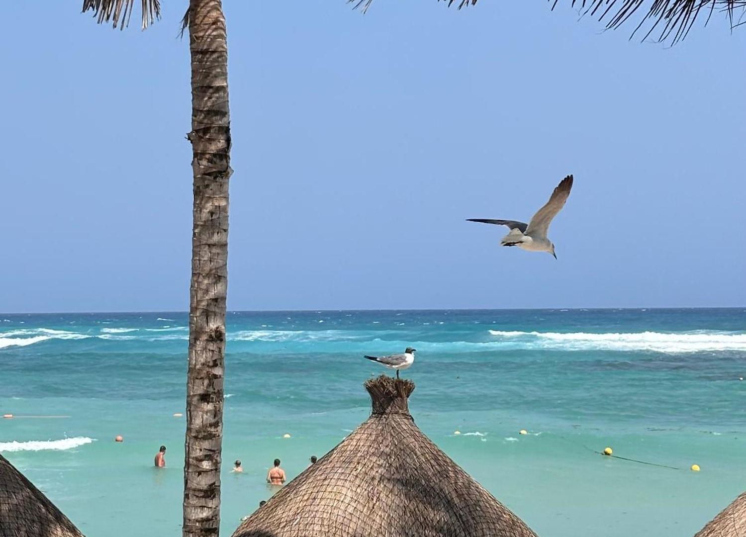 Golf & Haven * Tulum