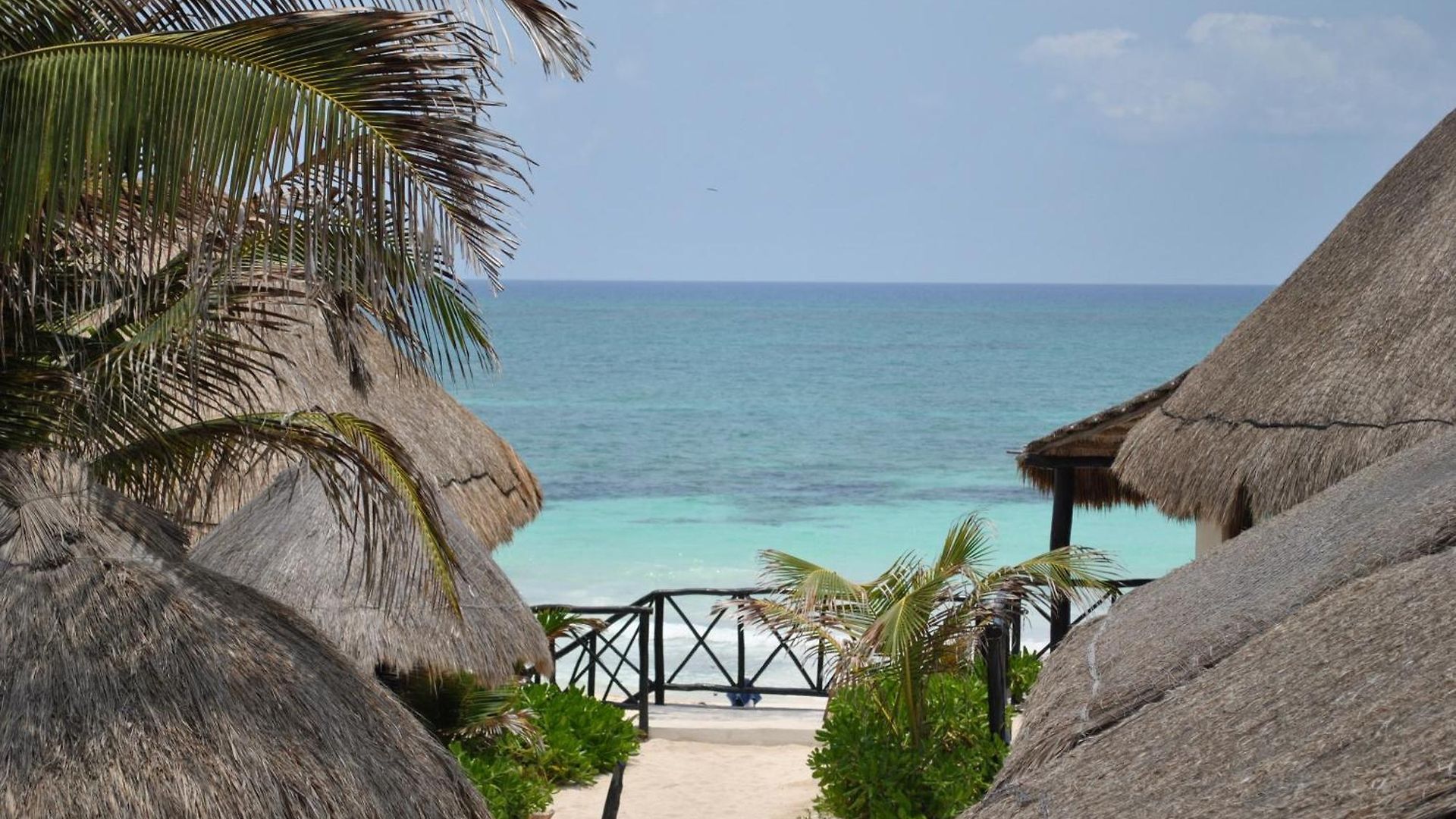 Punta Piedra