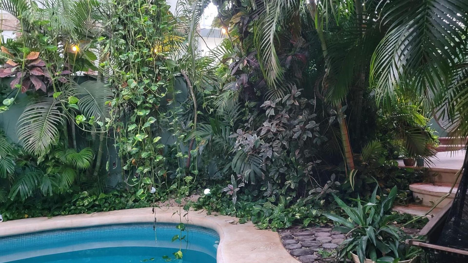 The Secret Garden