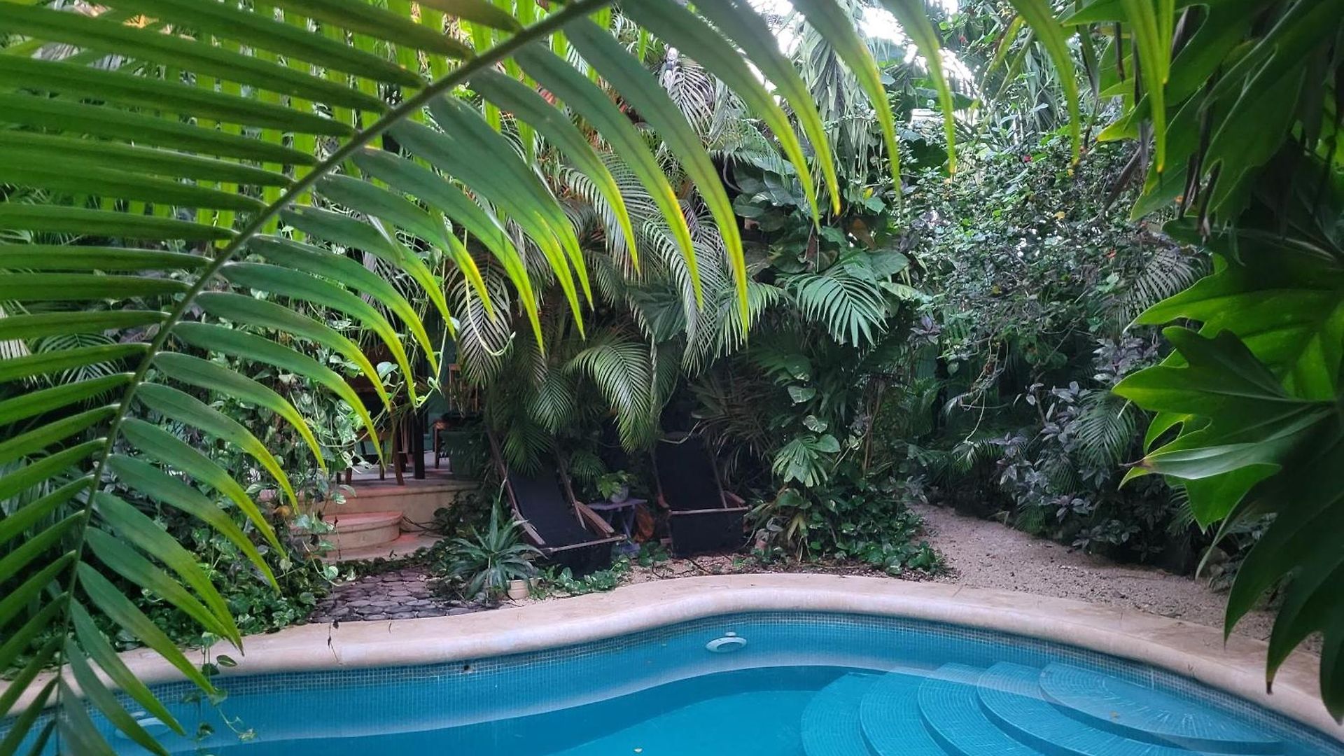 The Secret Garden