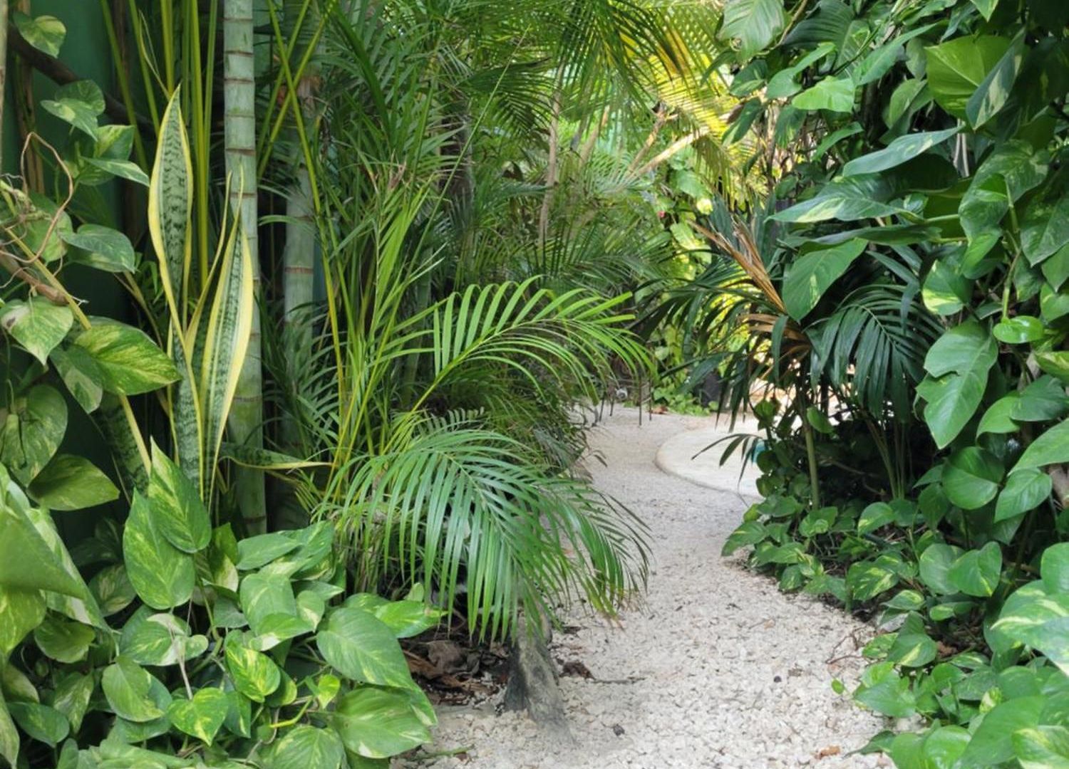 Apartamento The Secret Garden Tulum