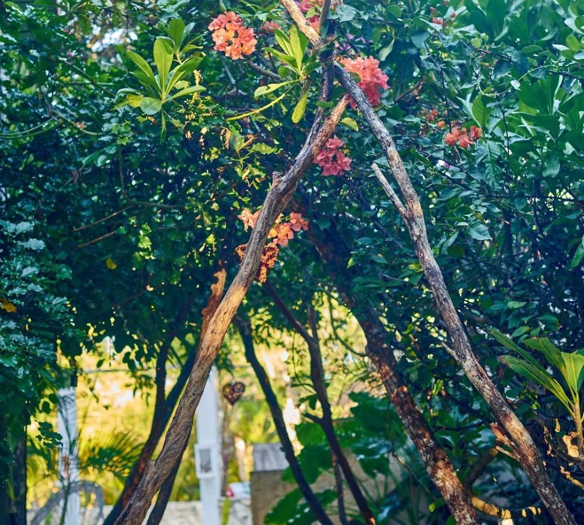Agua Y Fuego Tulum