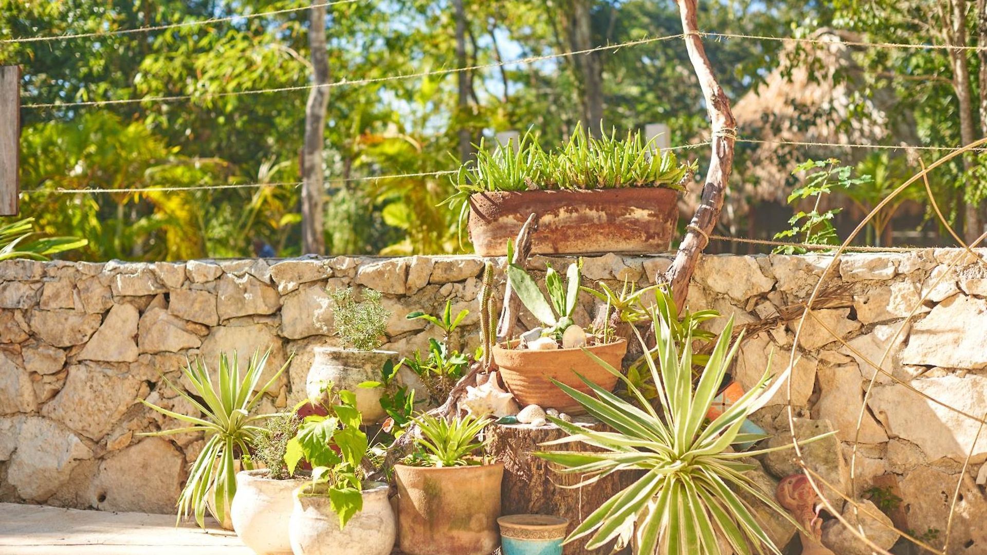 Agua Y Fuego Tulum