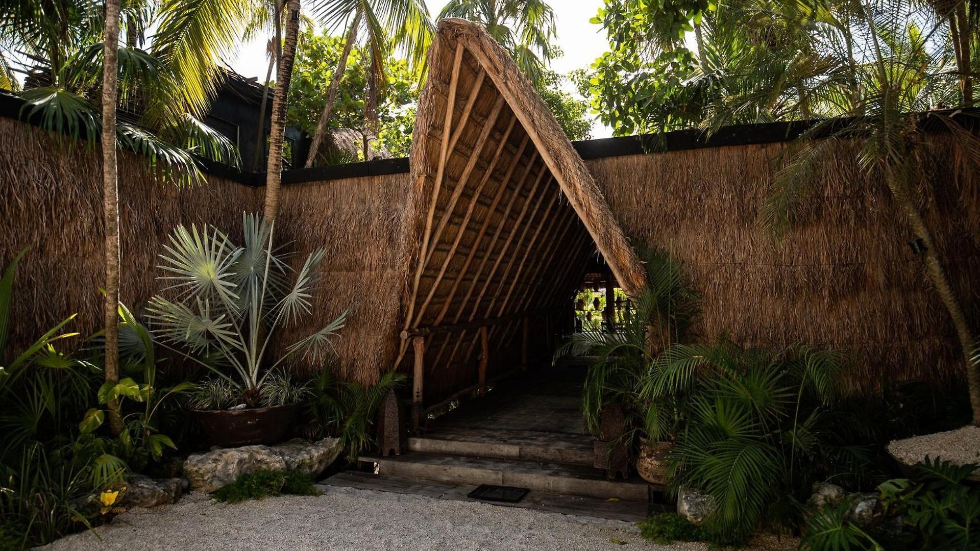Radhoo (adults Only) Hotel Tulum