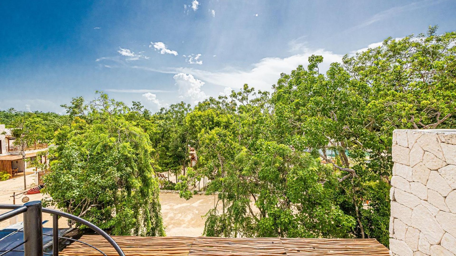 Jungle - Cenote Villa Tulum