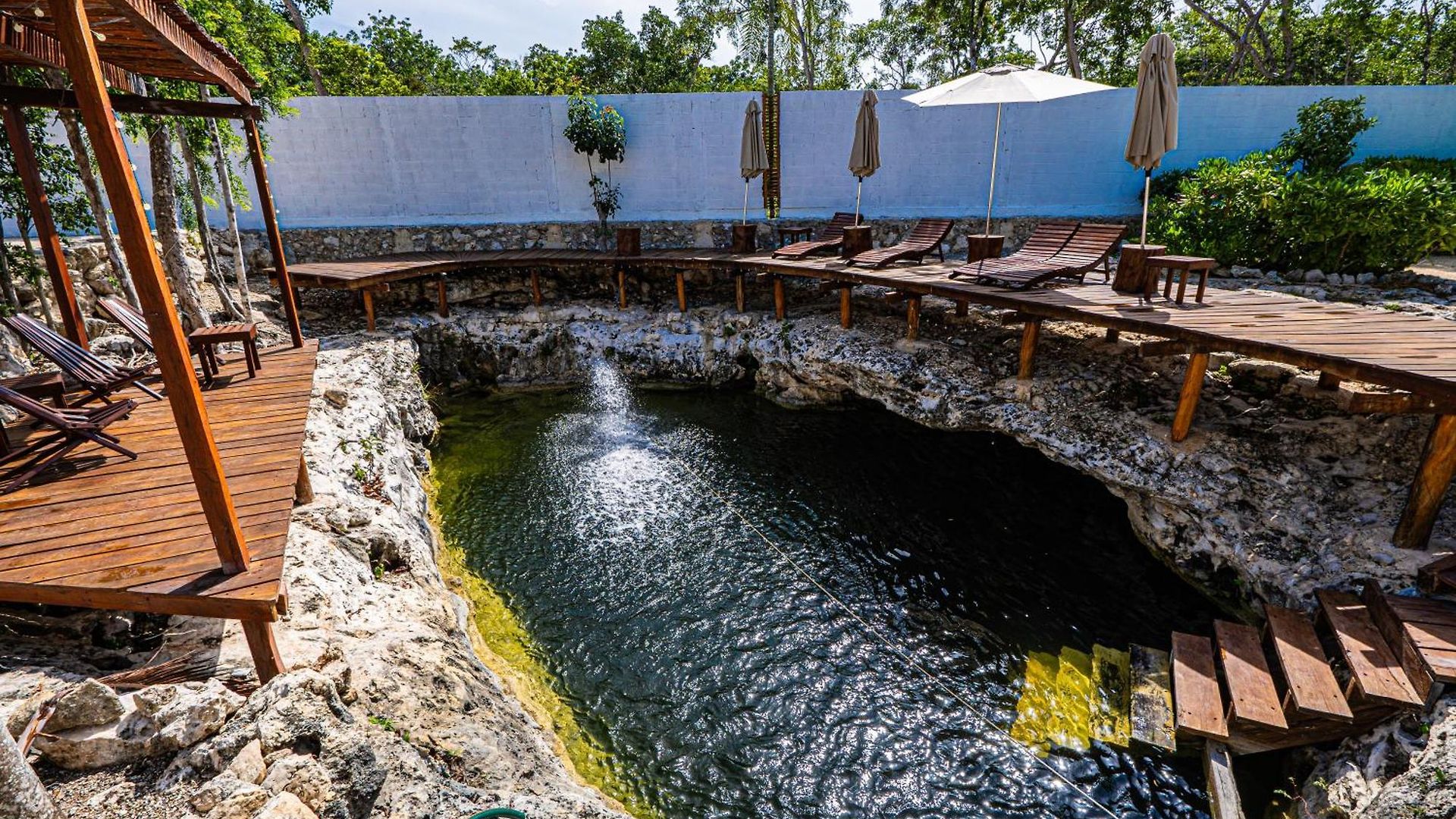 Jungle - Chakra Artbat Villa