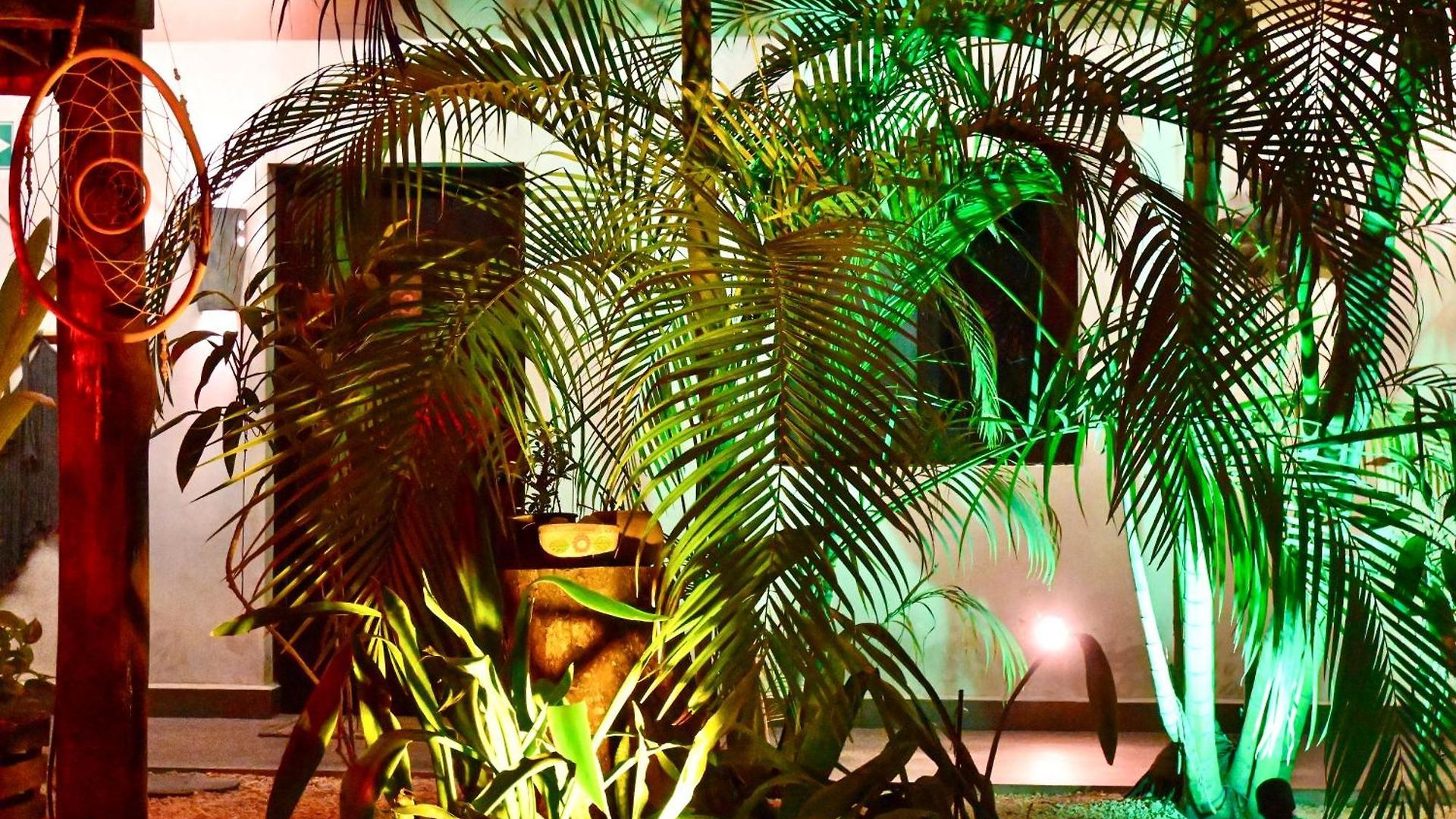 Hotel Pacha Boutique Tulum
